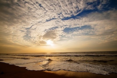 The Word “맛있다” in Korean Food Trends 2025